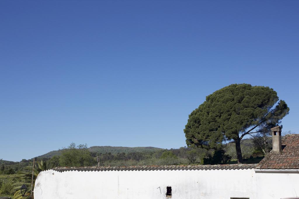 La Grulla Dorada Guest House Perales del Puerto ภายนอก รูปภาพ
