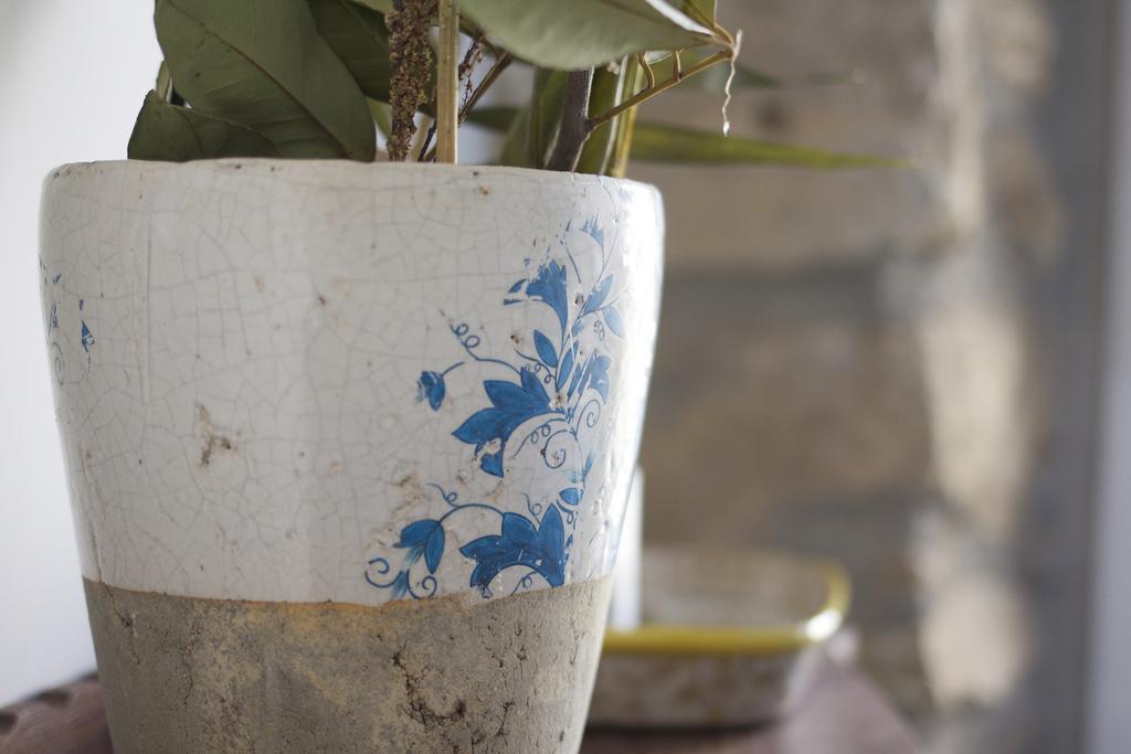 La Grulla Dorada Guest House Perales del Puerto ภายนอก รูปภาพ