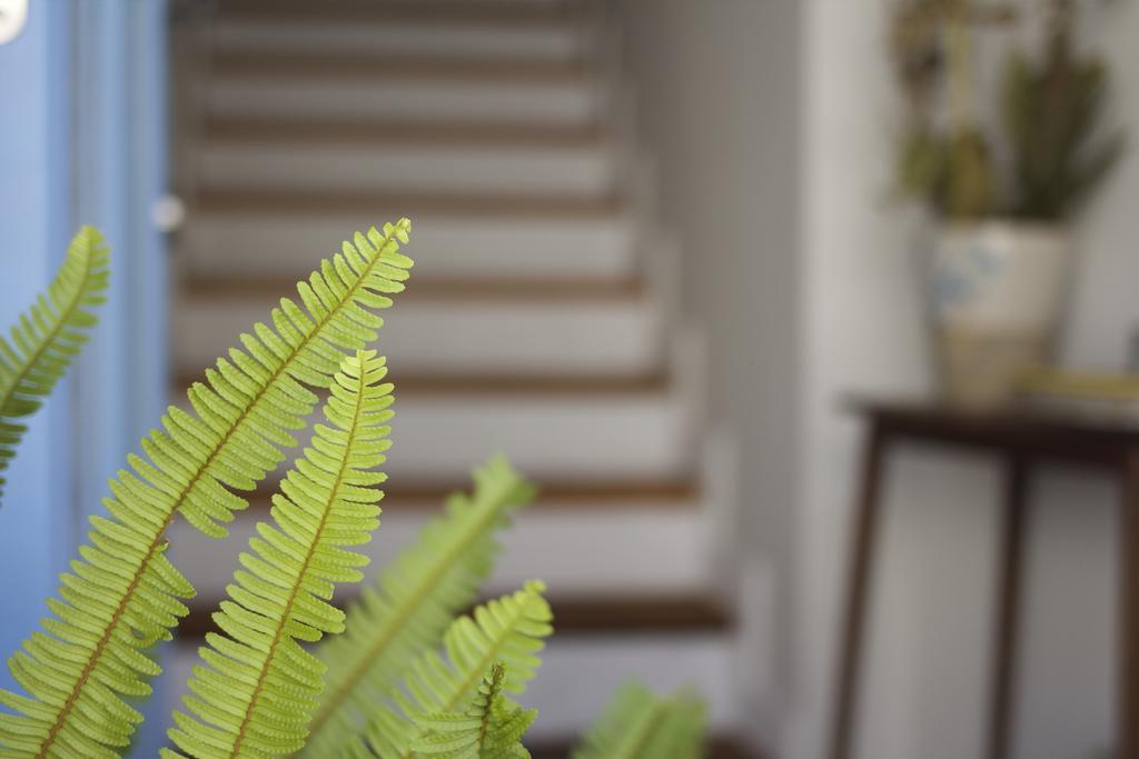 La Grulla Dorada Guest House Perales del Puerto ภายนอก รูปภาพ